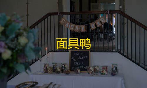 低价货源卡网抖音业务面具鸭